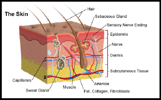 Manchas en la piel: tratamientos despigmentantes.